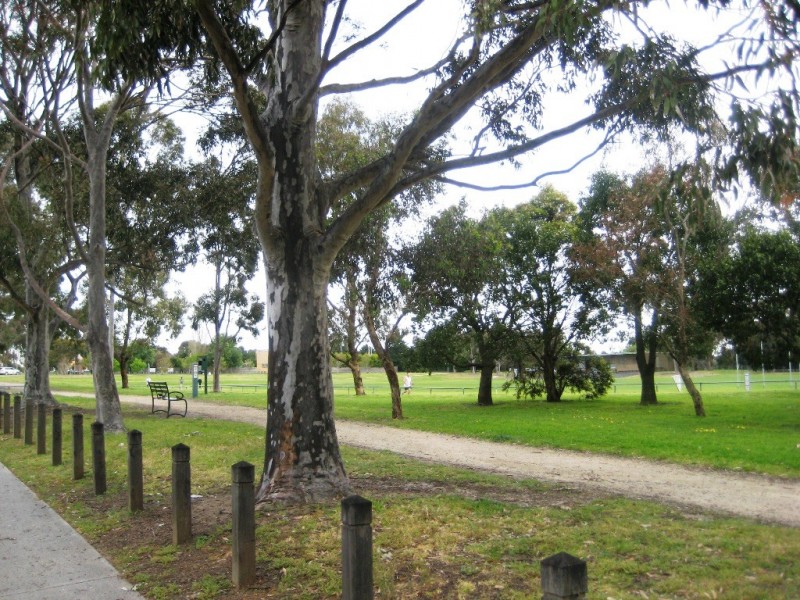 15 Cummins Road, Brighton East VIC 3187