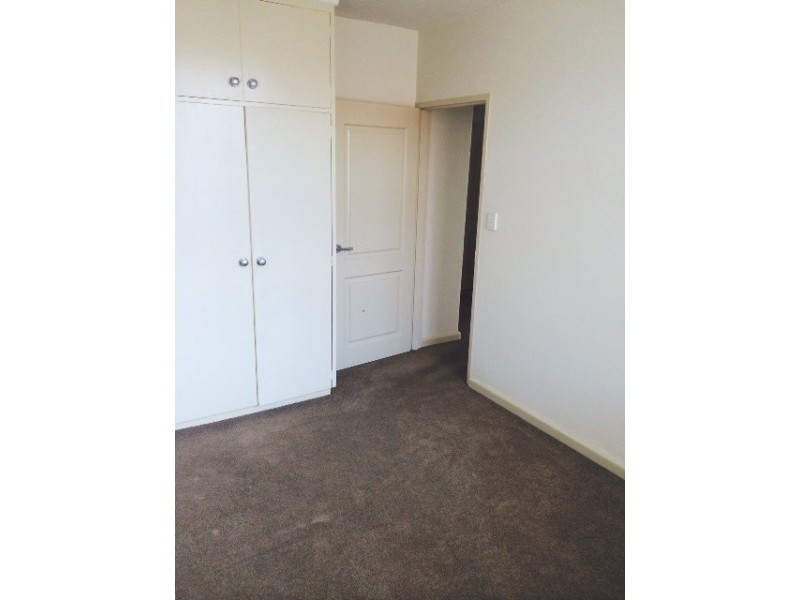 3/16 Westbury Grove, St Kilda East VIC 3183