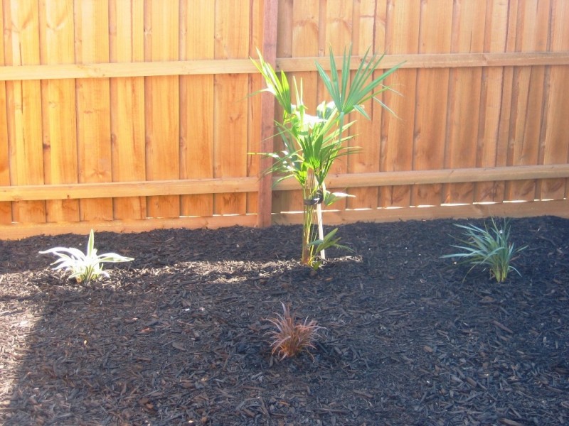 1 Arthur Cl, Truganina VIC 3029