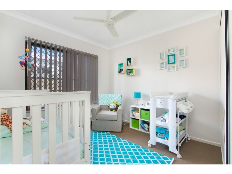 15 Landsborough Drive, Smithfield QLD 4878