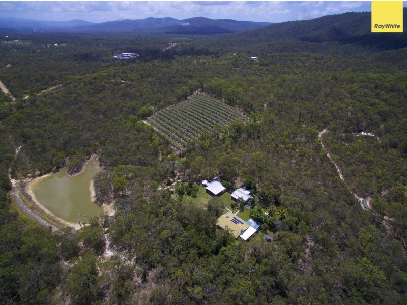 27 Clohesy River Road, Koah QLD 4881