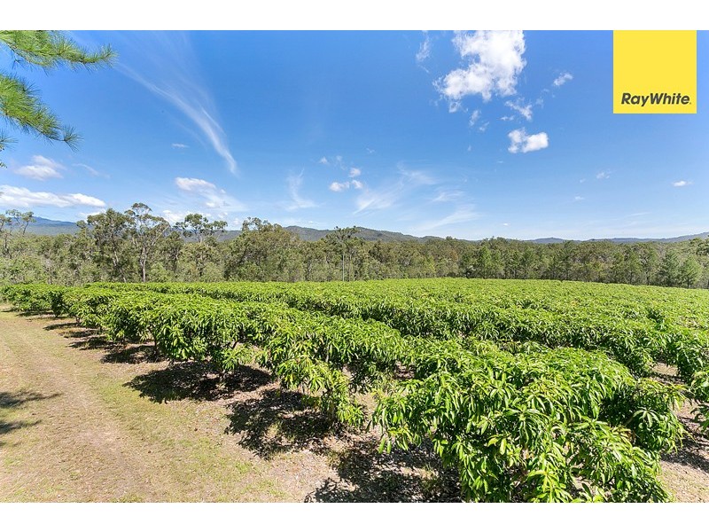 27 Clohesy River Road, Koah QLD 4881
