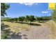 27 Clohesy River Road, Koah QLD 4881