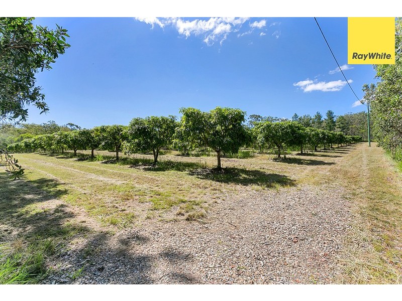 27 Clohesy River Road, Koah QLD 4881