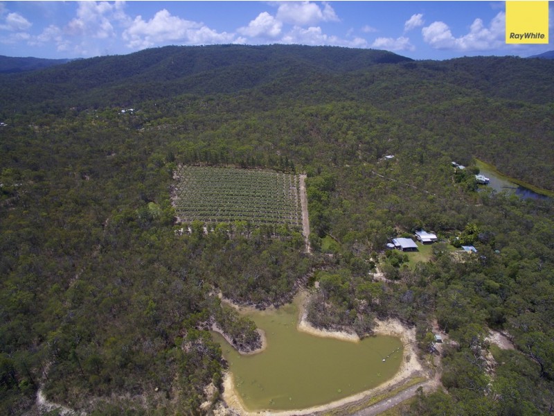 27 Clohesy River Road, Koah QLD 4881