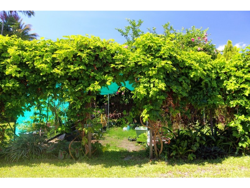 21 Lae Street, Trinity Beach QLD 4879