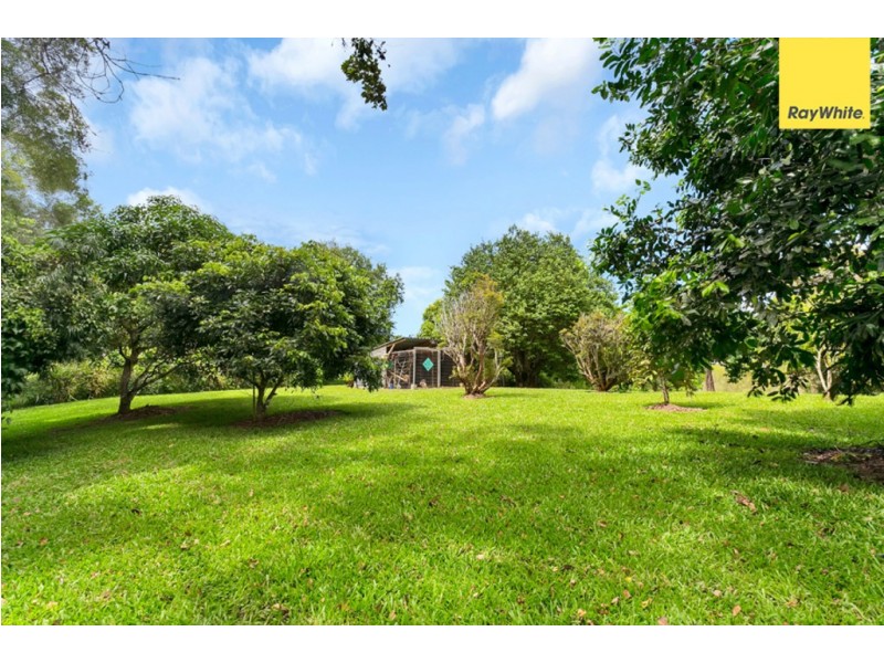 14 Nimrod Close, Speewah QLD 4881