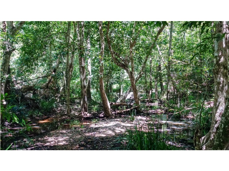 396 Speewah Road, Speewah QLD 4881