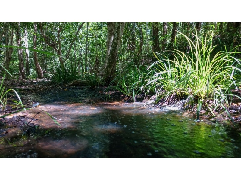 396 Speewah Road, Speewah QLD 4881