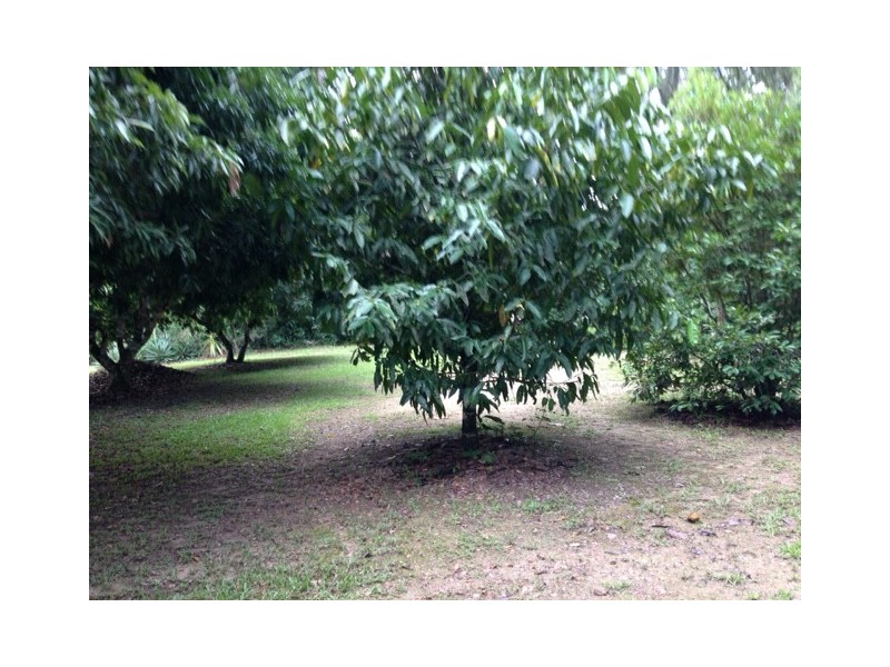 396 Speewah Road, Speewah QLD 4881