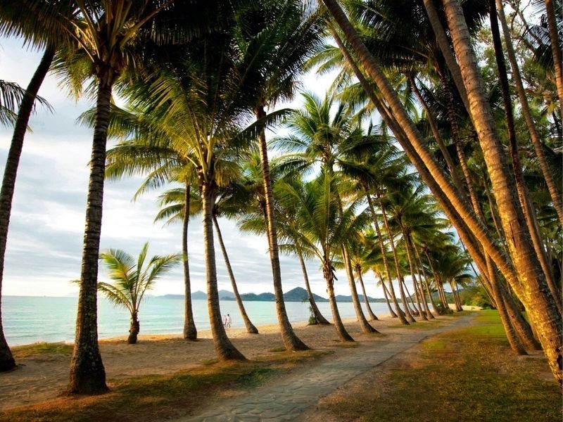 22-24 Aurelia Road, Palm Cove QLD 4879