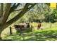 132 Oak Forest Road, Kuranda QLD 4881
