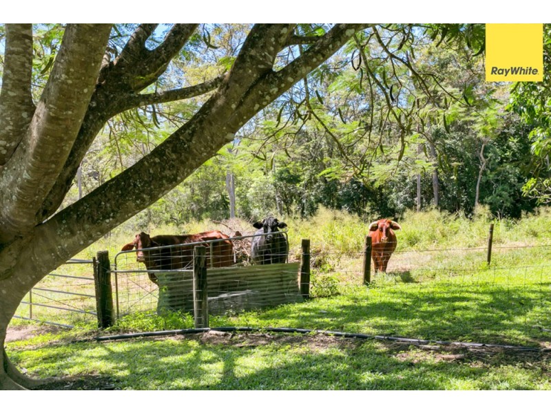 132 Oak Forest Road, Kuranda QLD 4881