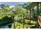 263 Oak Forest Road, Kuranda QLD 4881