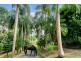 63 Masons Road, Kuranda QLD 4881