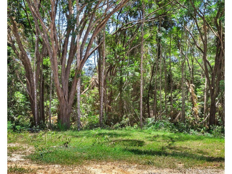 19 Christensen Road, Kuranda QLD 4881