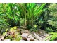 21 Platypus Close, Kuranda QLD 4881