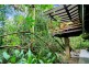 Lot 1 Black Mountain Road, Kuranda QLD 4881