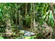 Lot 1 Black Mountain Road, Kuranda QLD 4881