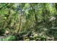 382 Ganyan Drive, Speewah QLD 4881