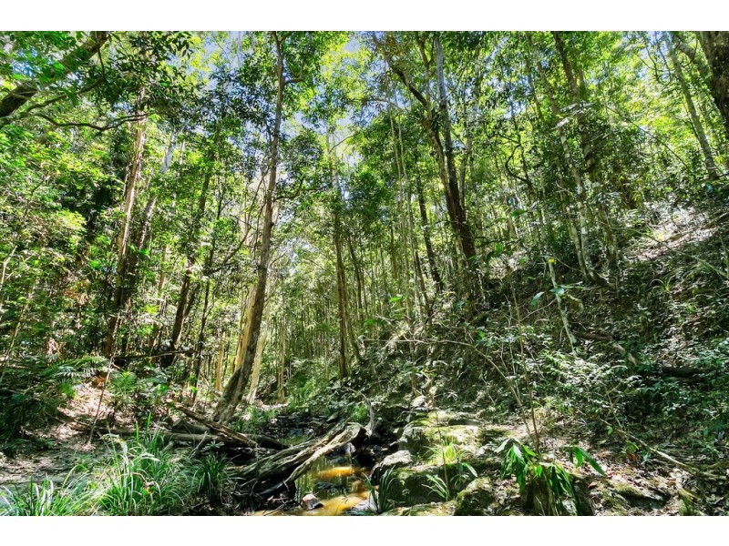 382 Ganyan Drive, Speewah QLD 4881