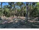335 Ganyan Drive, Speewah QLD 4881