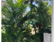 3427-3428/123 Williams Esplanade, Palm Cove QLD 4879