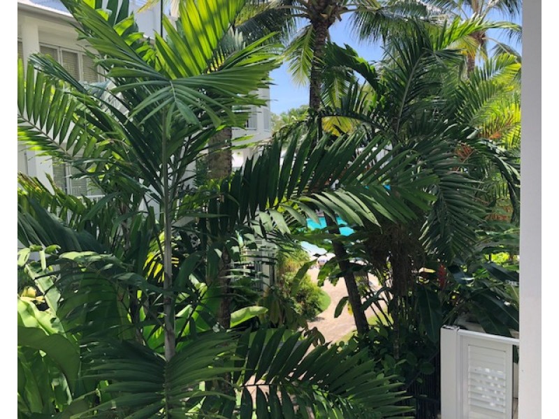 3427-3428/123 Williams Esplanade, Palm Cove QLD 4879