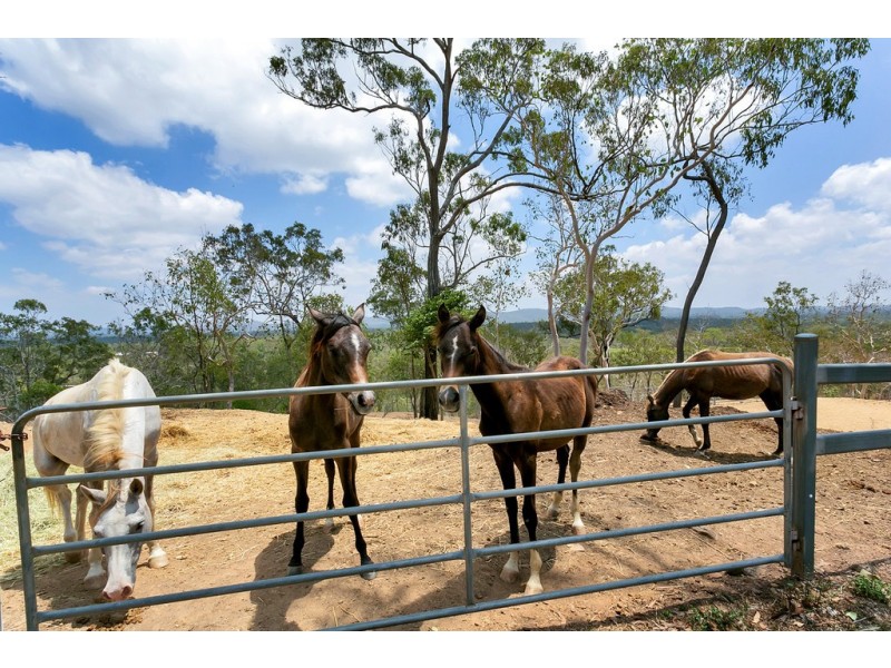 1 O’Neil Close, Koah QLD 4881