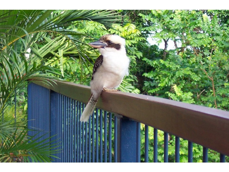 39/7 Tari Place, Trinity Beach QLD 4879