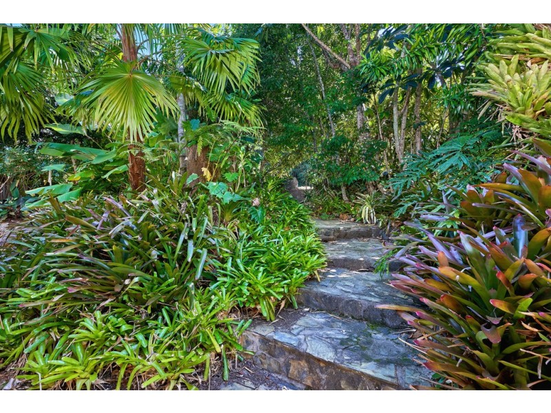 9 Buchan Street, Palm Cove QLD 4879