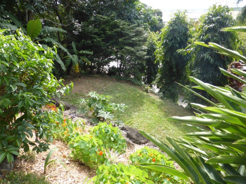 9 Beaman Close, Aeroglen QLD 4870