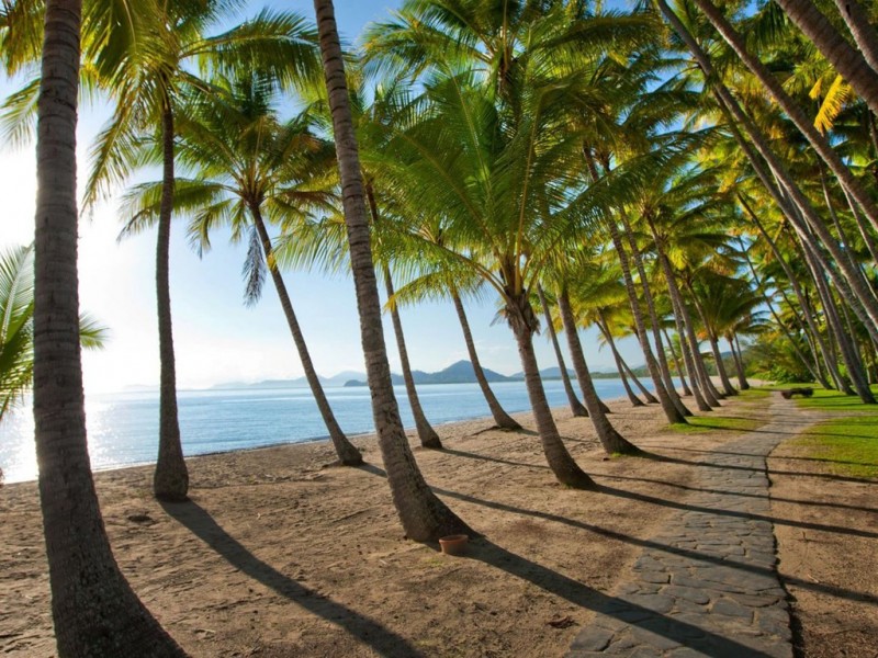150 Argentea Boulevard, Palm Cove QLD 4879