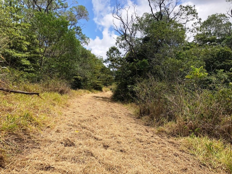 Lot 342 Leilas Way, Kuranda QLD 4881
