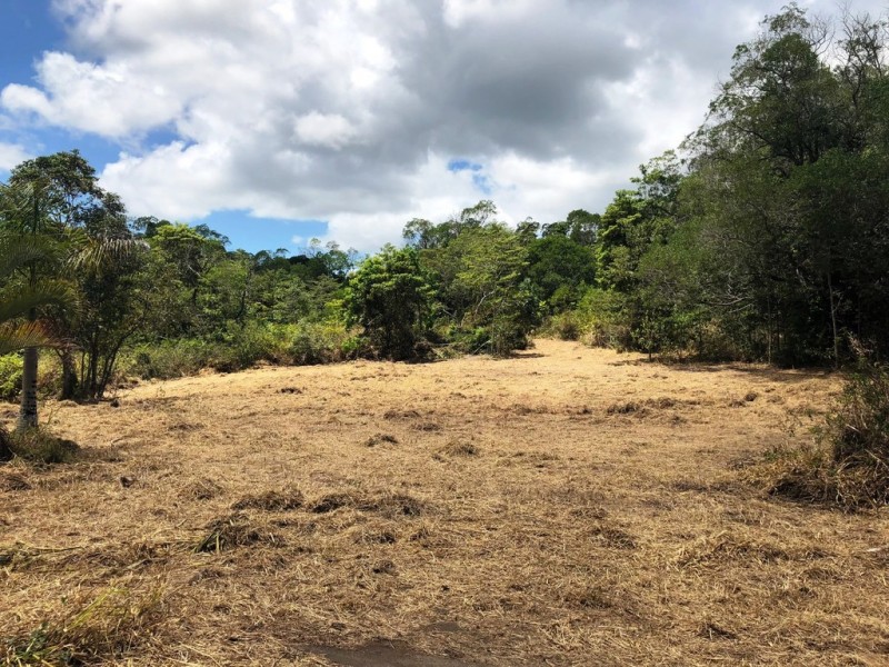 Lot 342 Leilas Way, Kuranda QLD 4881