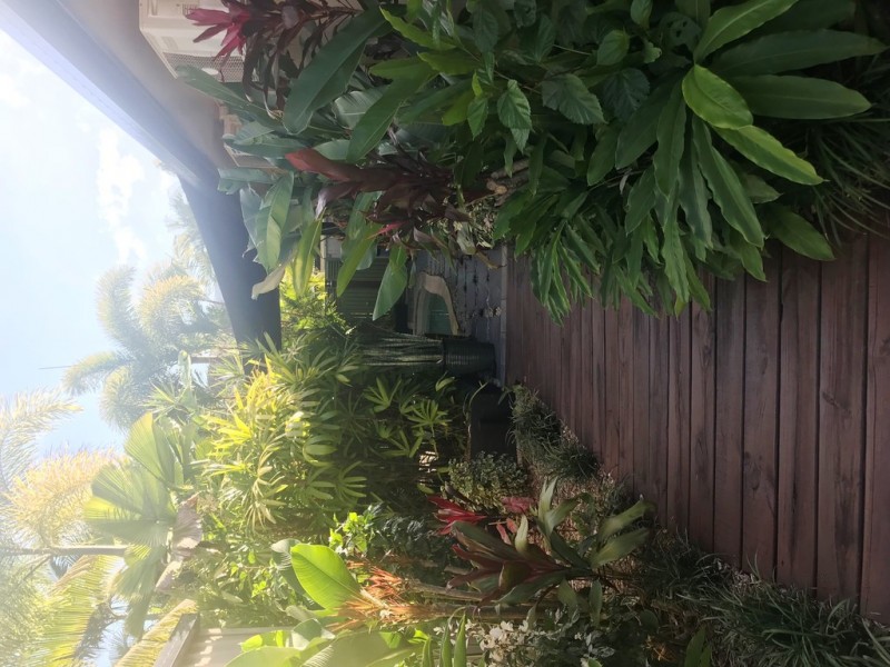 25 Waterlilly Street, Kewarra Beach QLD 4879