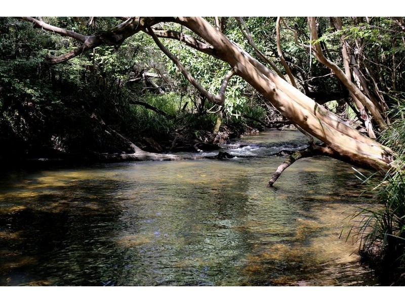 Lot 11 Copland Road, Koah QLD 4881