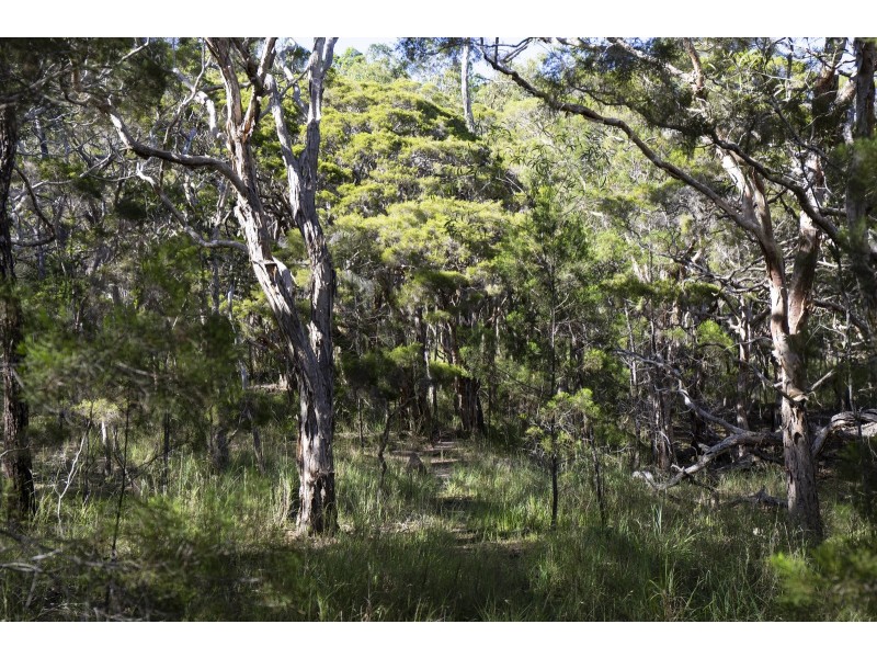 Lot 11 Copland Road, Koah QLD 4881