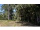 Lot 11 Copland Road, Koah QLD 4881