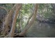 Lot 11 Copland Road, Koah QLD 4881