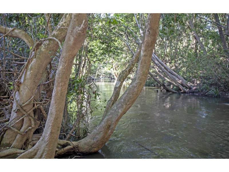 Lot 11 Copland Road, Koah QLD 4881