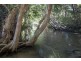 Lot 11 Copland Road, Koah QLD 4881