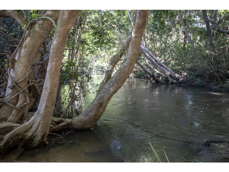 Lot 11 Copland Road, Koah QLD 4881