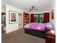 43 Stanton Road, Smithfield QLD 4878