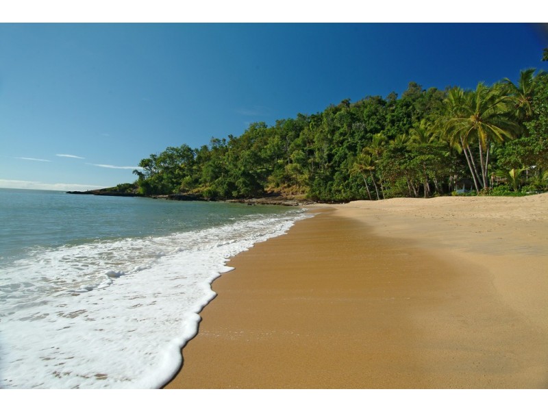 12/31-35 Vasey Esplanade, Trinity Beach QLD 4879