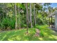 6 Fern Tree Place, Kuranda QLD 4881