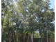 116b Panguna Street, Trinity Beach QLD 4879