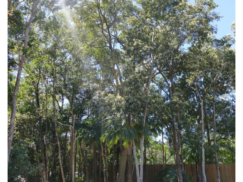 116b Panguna Street, Trinity Beach QLD 4879