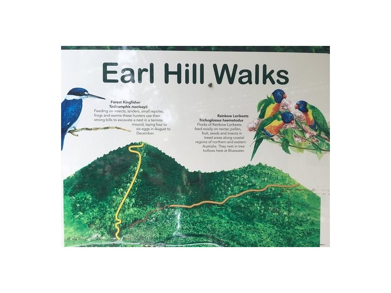 77 Roberts Drive, Trinity Beach QLD 4879