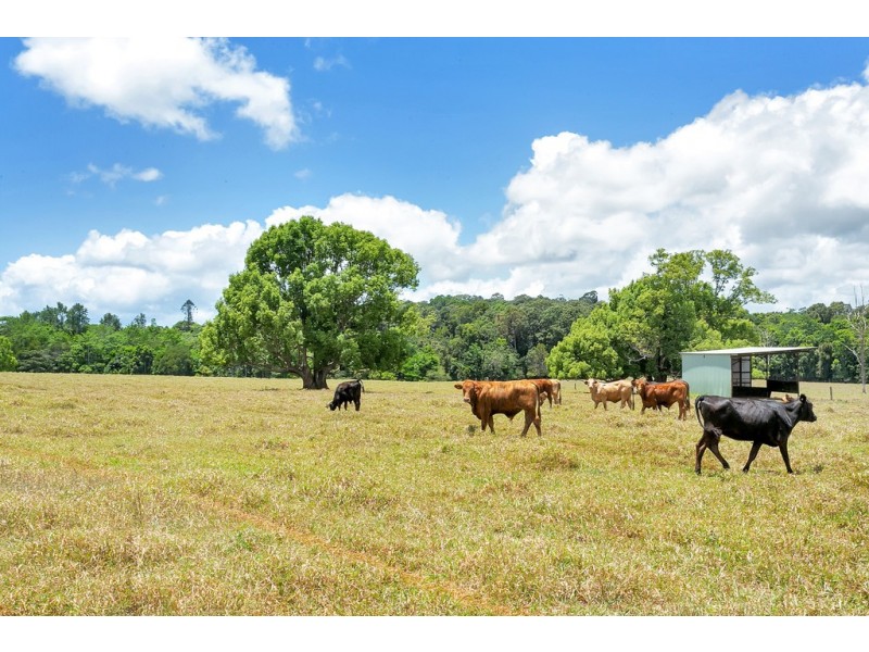 Lots 1, 3, 71 Malanda North, Malanda QLD 4885